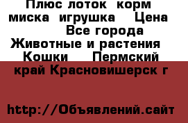 Плюс лоток, корм, миска, игрушка. › Цена ­ 50 - Все города Животные и растения » Кошки   . Пермский край,Красновишерск г.